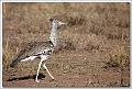 5D28463 cs web