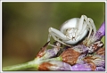40D14995 cs web