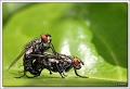 40D14558 cs web