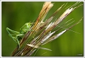 40D14737 cs web