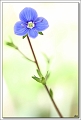 5D_4216 cs 2 cadre2