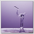 5D17282 cs web