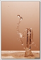 5D17288 cs web