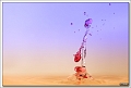 5D21851 cs web