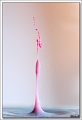 5D23385 cs web