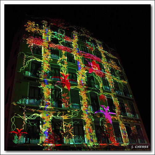 5D_9038 cs cadre2.jpg - Dessine-moi ... des lumières - Mur des Lyonnais