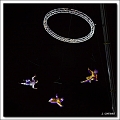5D11533 cs web
