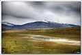 5D21396 cs web