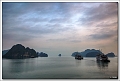 5D24863 cs web