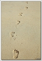 5D_9987 cs cadre2