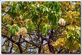 5D21705 cs 2 web