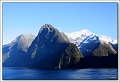 5D15399 cs web