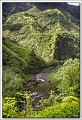 40D11113 cs 2 web