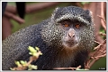 5D27801 cs web