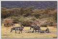 5D27934 cs web