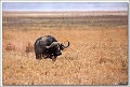 5D29748 cs web
