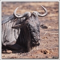 5D29842 cs web