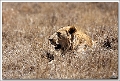 5D29846 cs web