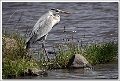 5D29887 cs web