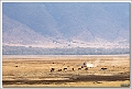 5D29938 cs web
