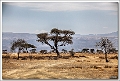 5D28171 cs web