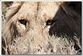 5D28940 cs web