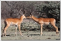 5D29668 cs web