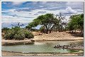 5D30059 cs web