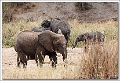 5D30117 cs web