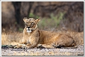 5D30324 cs web