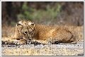 5D30329 cs web