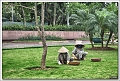 5D25237 cs web