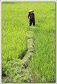 5D24553 cs web